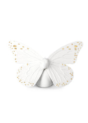 Butterfly Golden Luster/White Home Accessories Lladro