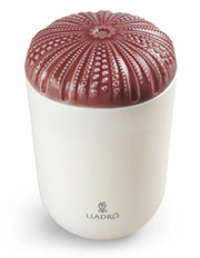 Echoes of Nature Candle -Mediterranean Beach Home Accessories Lladro