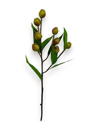 Eucalyptus fruit branch 5pcs Chan's Silk Flowers
