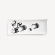 Rectangular Tray Theme & Variations No.218 Home Accessories Fornasetti