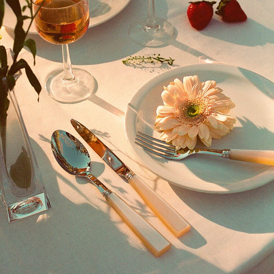 Icone - 5 Piece Cutlery Set Sabre Paris 