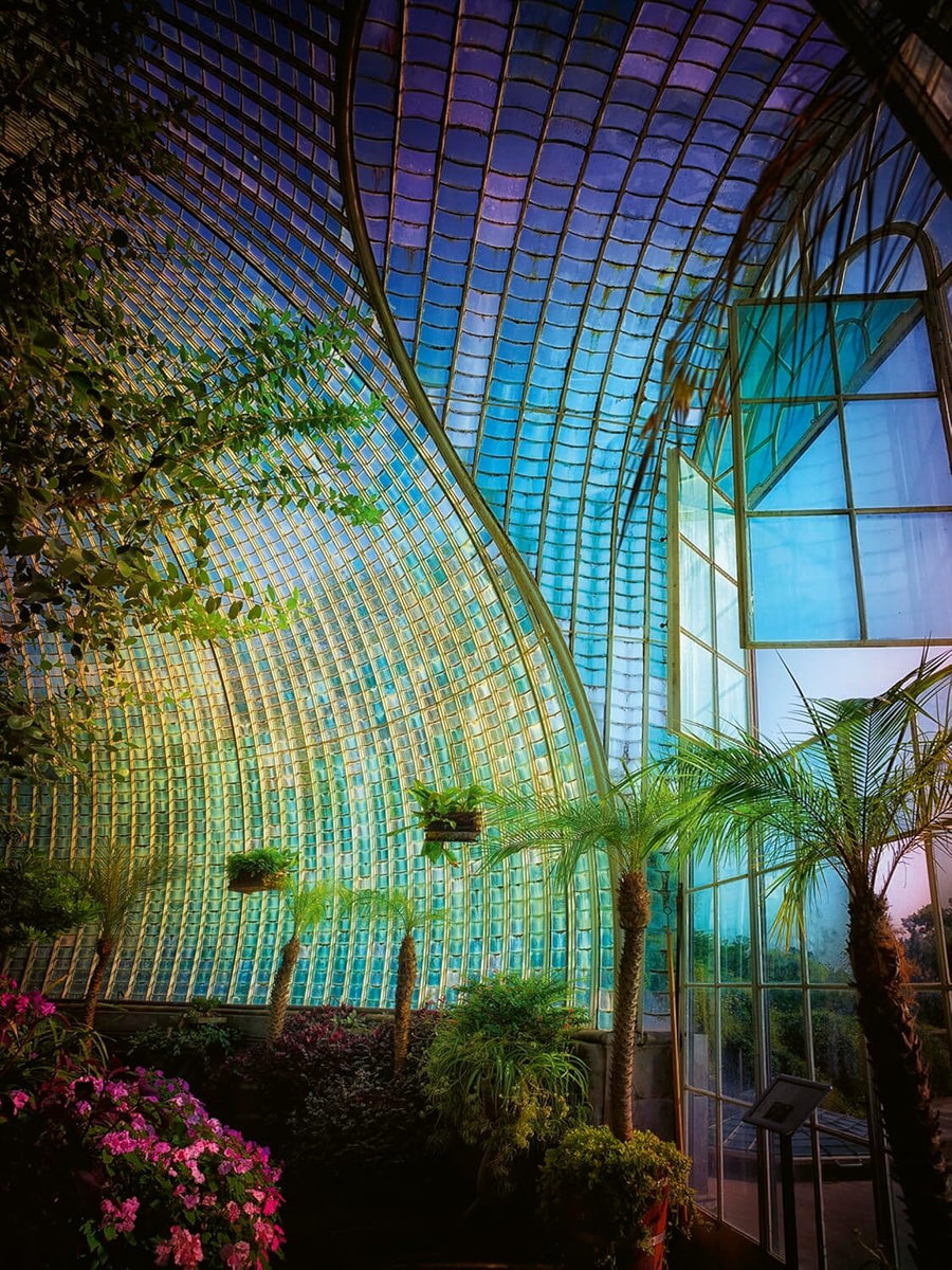 Greenhouses Book BOOKS Ingram Publisher Services 