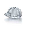 Heritage Turtle Clear Home Accessories Baccarat 