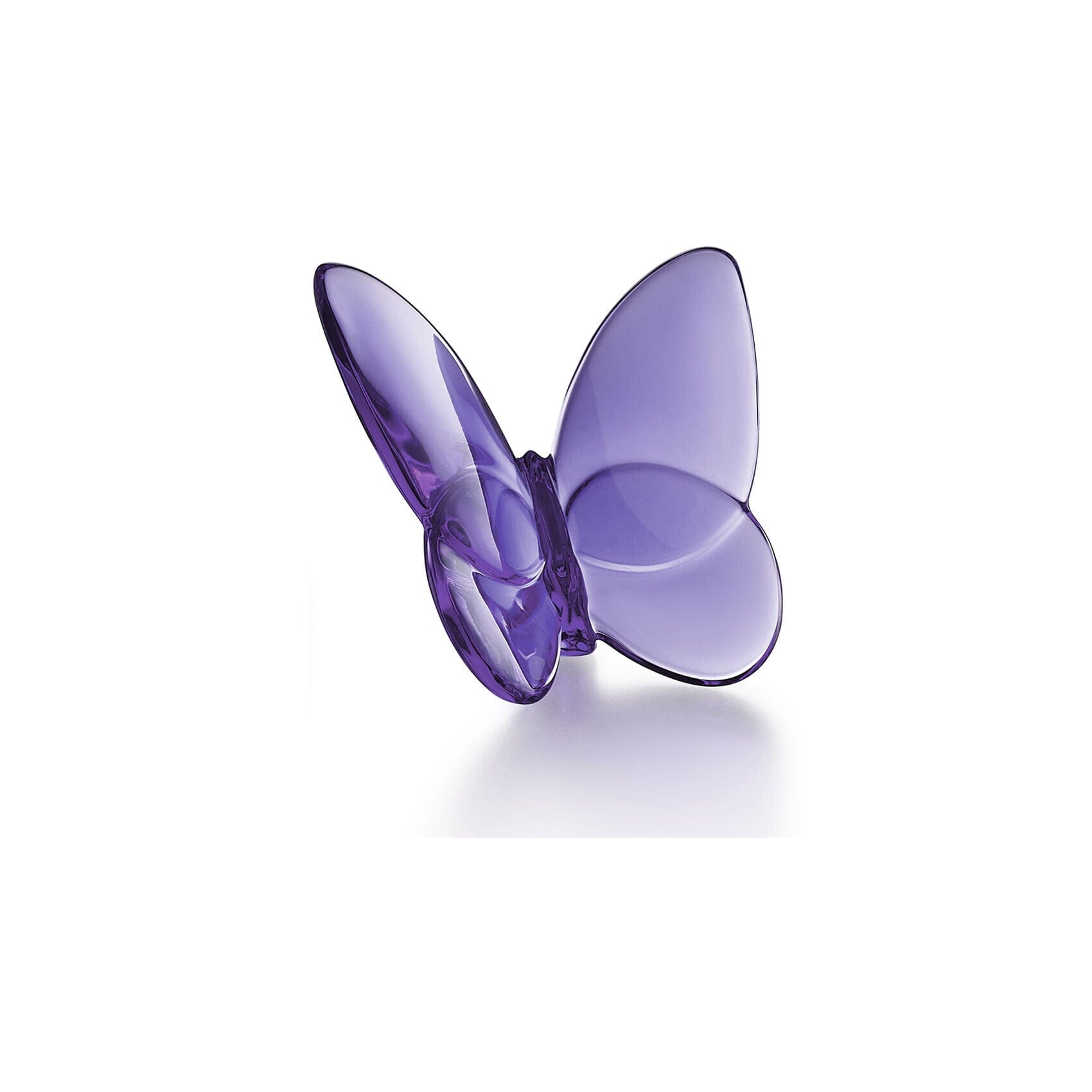 新品 Baccarat ラッキーバタフライ ピオニー PURPLE パピヨン Papillon Lucky Butterfly
