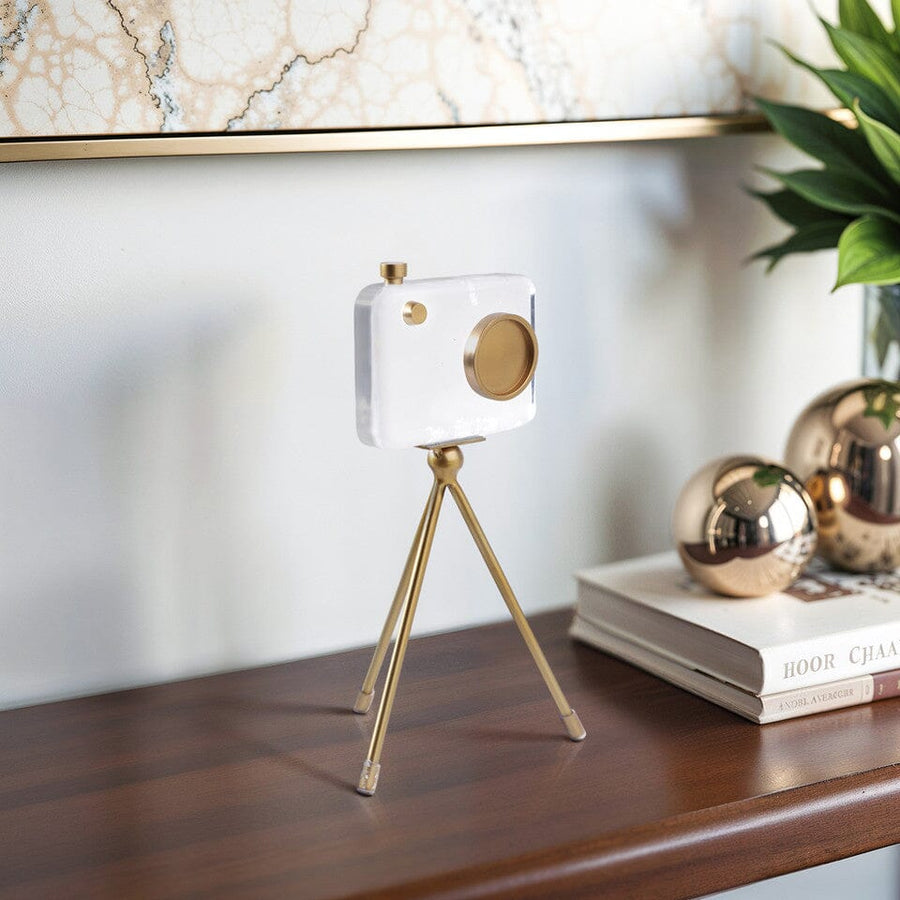Camera Sculpture Sagebrook Home 