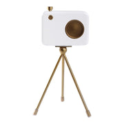 Camera Sculpture Sagebrook Home 
