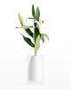 Hester Vase VASES JR William Hamptons White 