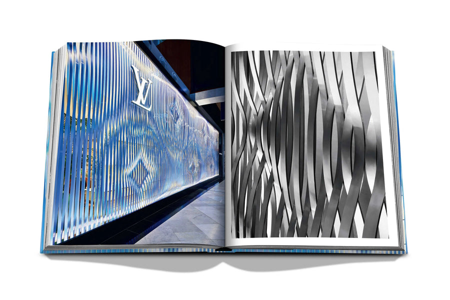 Louis Vuitton Skin Book BOOKS Assouline 