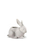Bunny Garden Figurine Matte White Lladro 