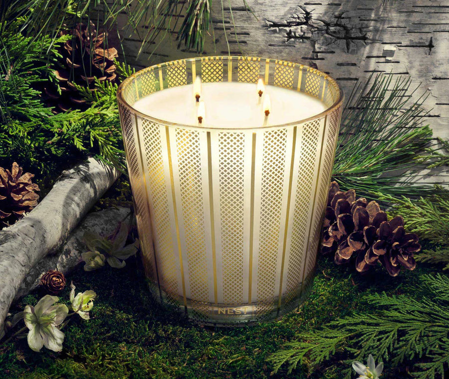 Birchwood Pine Luxury Candle - 4 Wick Candles Nest Fragrances 