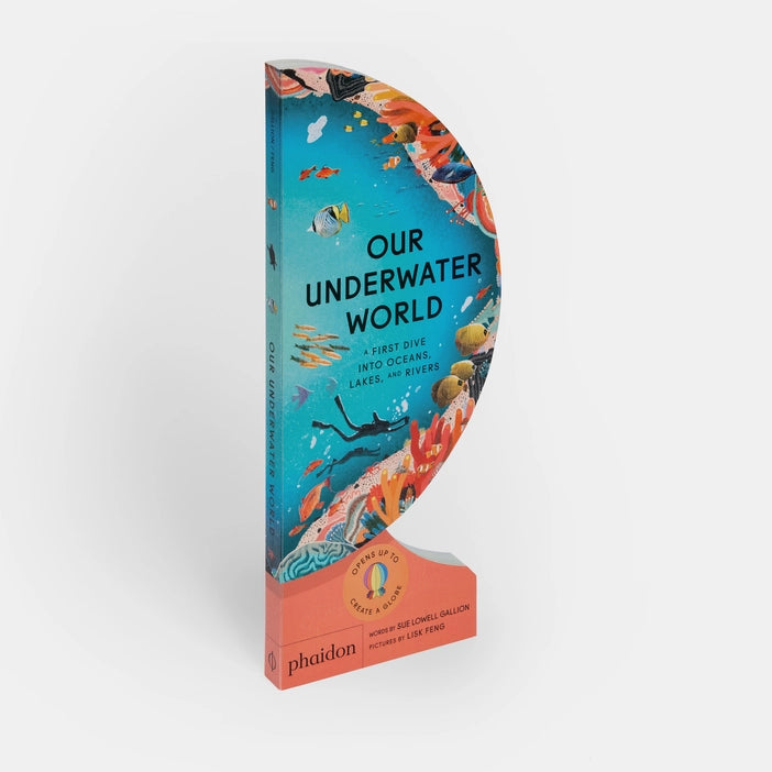 Our Underwater World Hachette Book Group 