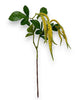 Amaranthus 5 Pcs Chan's Silk Flowers 