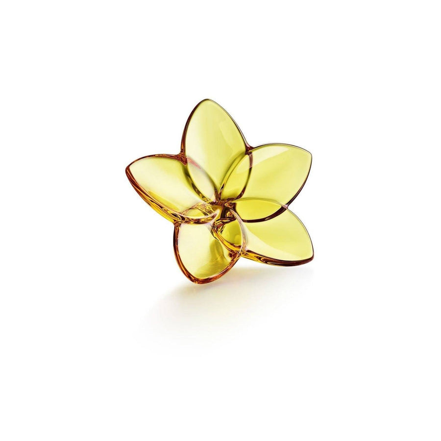 Bloom Flower Home Accessories Baccarat Amber 