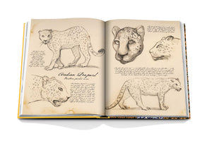 Arabian Leopard Book Assouline 