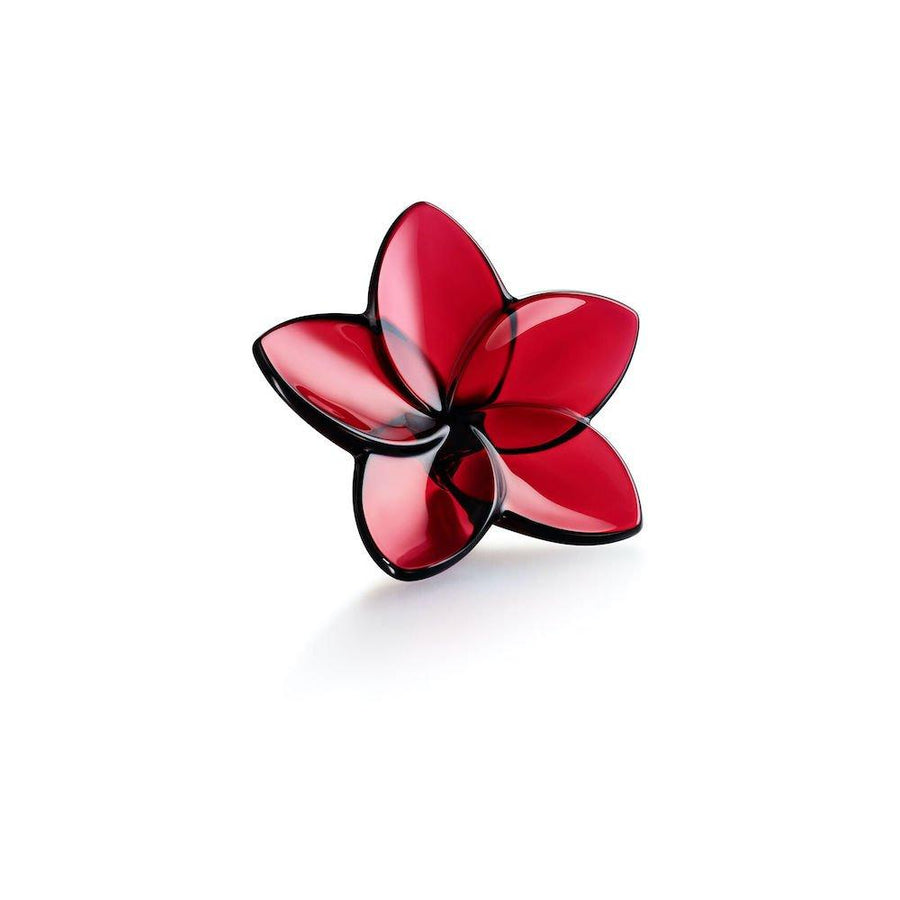 Bloom Flower Home Accessories Baccarat Red 