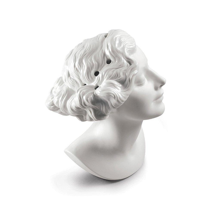 Daisy Woman Bust Vase Home Accessories Lladro 