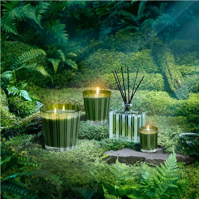 Midnight Moss & Vetiver Classic Candle Candles Nest Fragrances 